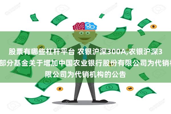 股票有哪些杠杆平台 农银沪深300A,农银沪深300C: 旗下部分基金关于增加中国农业银行股份有限公司为代销机构的公告