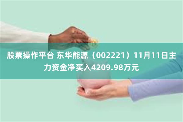 股票操作平台 东华能源（002221）11月11日主力资金净买入4209.98万元