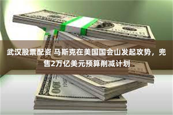 武汉股票配资 马斯克在美国国会山发起攻势，兜售2万亿美元预算削减计划