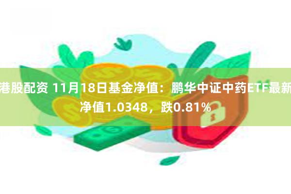 港股配资 11月18日基金净值：鹏华中证中药ETF最新净值1.0348，跌0.81%