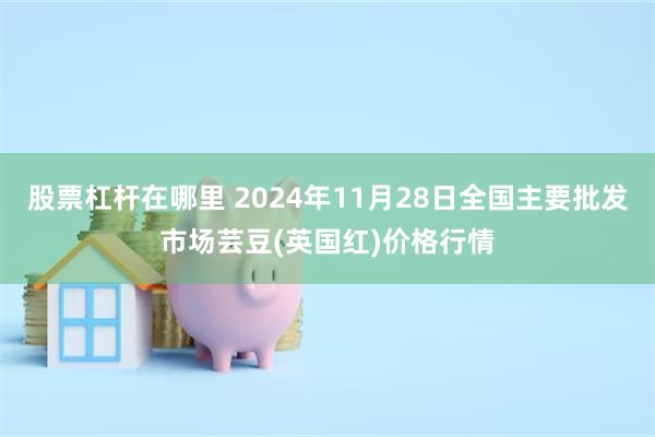 股票杠杆在哪里 2024年11月28日全国主要批发市场芸豆(英国红)价格行情