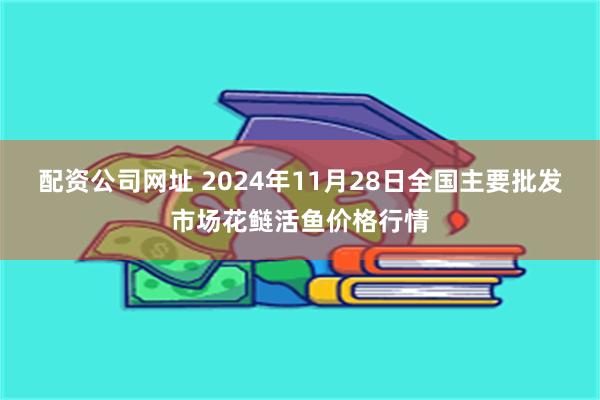 配资公司网址 2024年11月28日全国主要批发市场花鲢活鱼价格行情