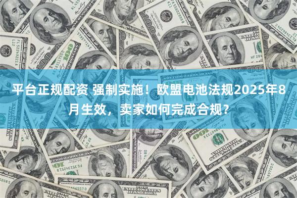 平台正规配资 强制实施！欧盟电池法规2025年8月生效，卖家如何完成合规？