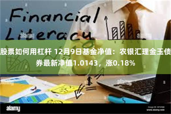 股票如何用杠杆 12月9日基金净值：农银汇理金玉债券最新净值1.0143，涨0.18%