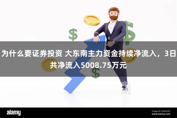 为什么要证券投资 大东南主力资金持续净流入，3日共净流入5008.75万元