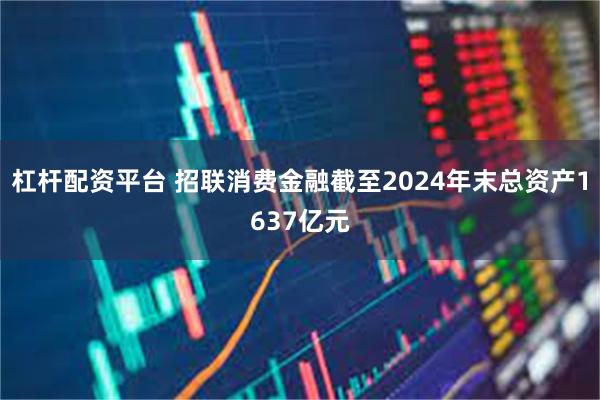 杠杆配资平台 招联消费金融截至2024年末总资产1637亿元