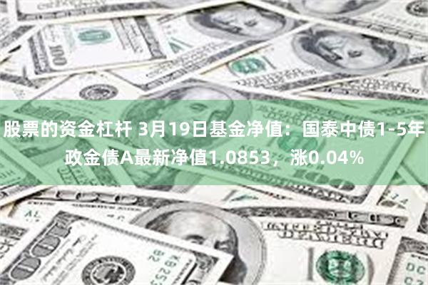 股票的资金杠杆 3月19日基金净值：国泰中债1-5年政金债A最新净值1.0853，涨0.04%